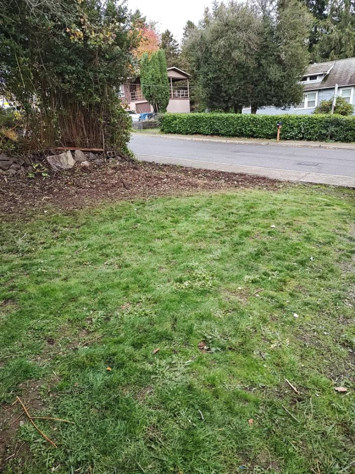 Backyard with overgrown shrubs, weathered patio furniture, and patchy lawn before professional landscaping refresh.